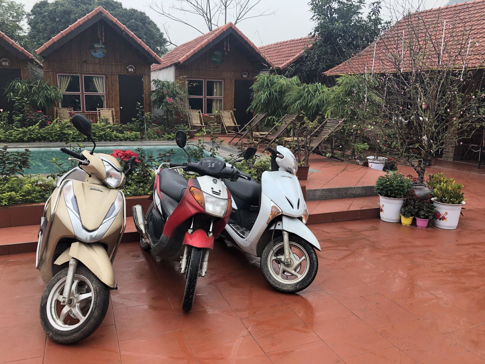Tam Coc Garden Homestay Ninh Binh Exterior foto