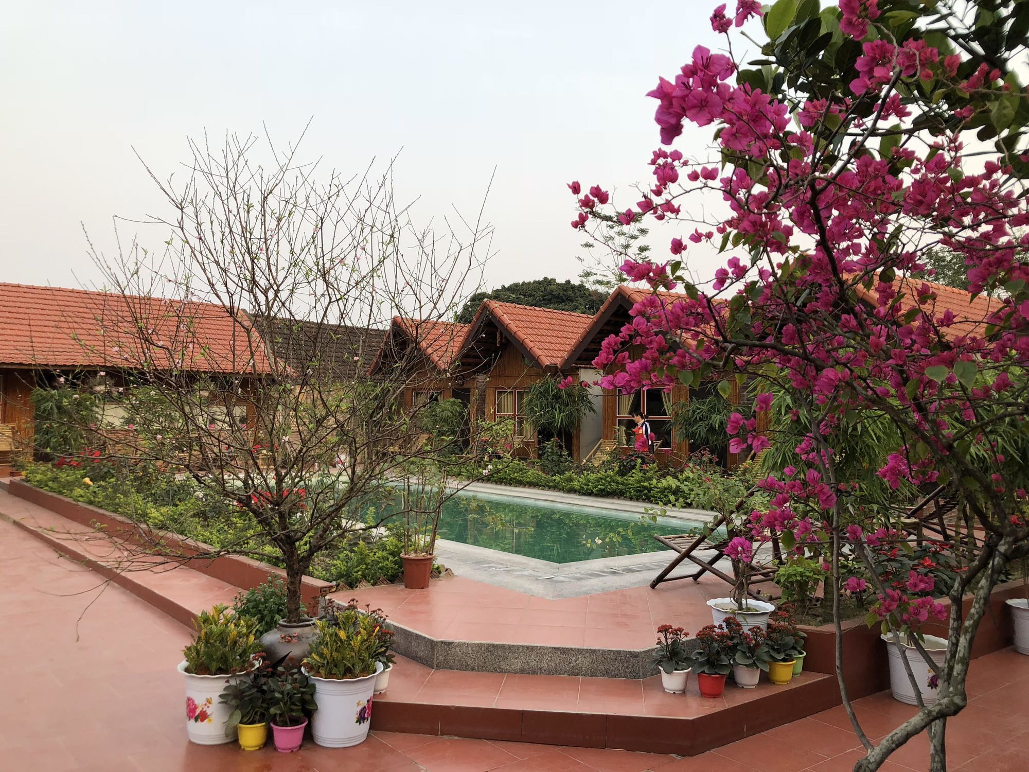 Tam Coc Garden Homestay Ninh Binh Exterior foto
